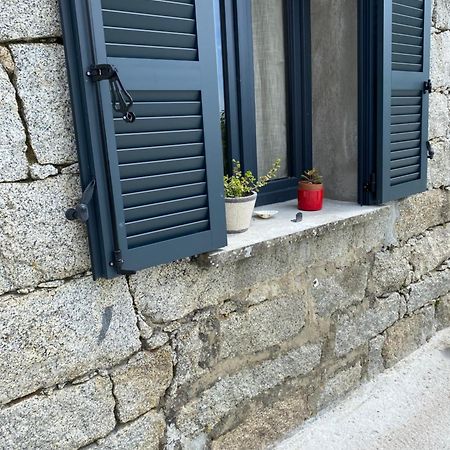 Tres Beau Studio Avec Terrasse 宗扎 外观 照片