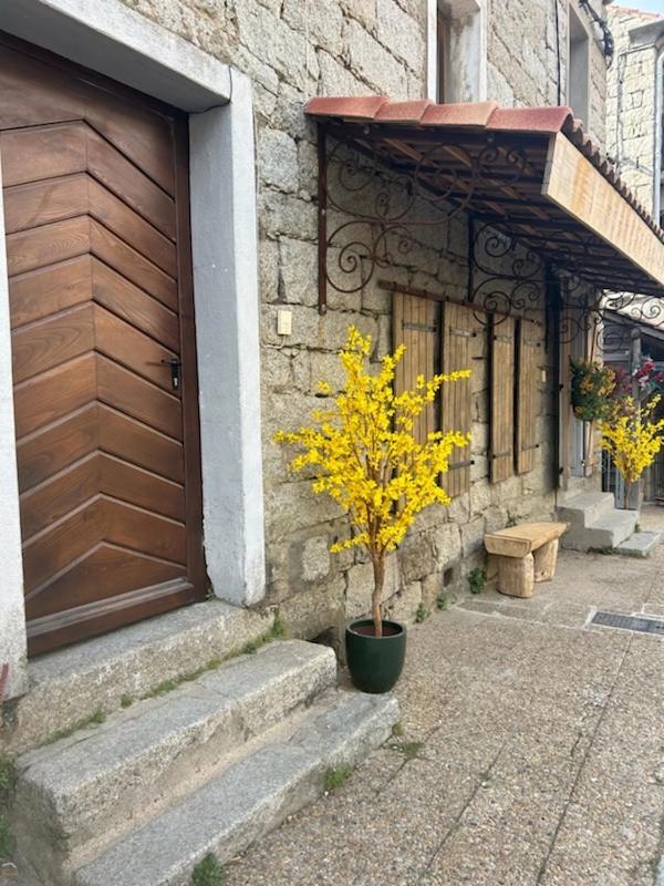Tres Beau Studio Avec Terrasse 宗扎 外观 照片
